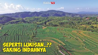 SEMPAT TAK PERCAYA ❗ TERNYATA DI SINI TERDAPAT HAMPARAN PERKEBUNAN BAWANG BERSKALA BESAR