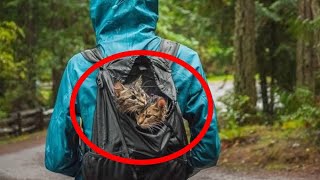 「このままなんて可哀想・・・。」公園で見つけた2匹の子猫。子猫を見つけたものの発見者には心配事が・・・。そんな不安を乗り越えた子猫の姿に注目！【素敵な話】