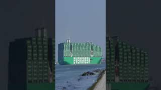 உலகின் பெரிய கன்டைனர் கப்பல் சூயஸ் கால்வாய்க்கு வருகிறது Biggest container ship EverAce #Shorts