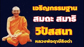 ผู้ตื่นในธรรม เจริญกรรมฐาน ผู้เริ่มต้น สมถะสมาธิ ทรงฌาน วิปัสสนาญาณ ปัญญา เสียงหลวงพ่อฤาษีลิงดำ