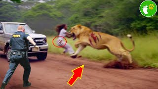 When Animals Go On A Rampage! Interesting Animal Moments CAUGHT ON CAMERA 2023