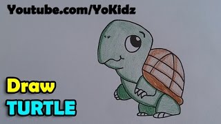 How to draw a turtle cartoon