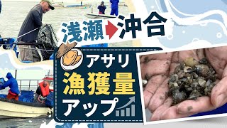 アサリ「大きくなるばい！」浅瀬で生まれた稚貝を沖合へ“移植”漁獲量アップへ