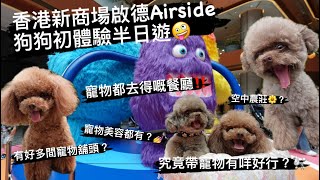 好多寵物友善餐廳⁉️究竟呢個啟德嘅新商場airside帶寵物有咩好行呢？跟住我哋兩隻小朋友一齊去探索吓啦🐩💕