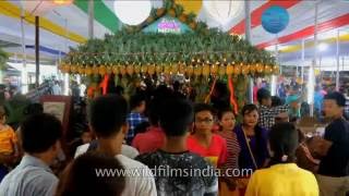 Manipur hosts Pineapple festival