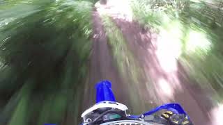 Somerset TRF - Summer Forest Ride Day. Combe Florey on 21st July 2024. WR250F 2019 2nd Video