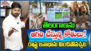 తెలంగాణను ఆగం చేస్తున్న కోతులు! రాష్ట్ర జనాభాను మించిపోవచ్చట! | Telangana people troubled by monkeys