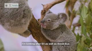 Meet Eli | WWF-Australia