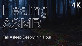 森の中の雨 🌧️🌲 1時間で深い眠りへ | 癒しのASMR