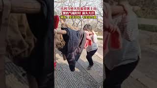 大妈当轿夫抬着游客上山，累的气喘吁吁 满头大汗，网友：坐不忍心 不坐没生意#生活不易