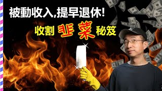 財務獨立,提早退休-投資大師穩賺不賠的秘訣:如何收割\