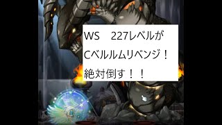 【MapleStory】WS　227レベルがCベルルムにリベンジ！絶対倒す！！【メイプルストーリー】