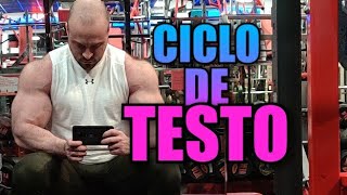 CICLO DE TESTO, EL MEJOR PARA PRINCIPIANTES