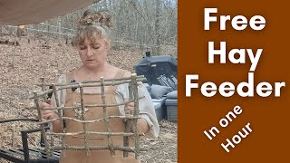 I Built a Baby Goat Feeder from Sticks… Here’s What Happened