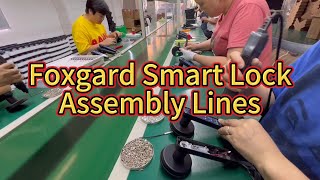 Foxgard Smart Lock Assembly Line Unveiled #smarthome #smartlock #fingerprint_lock #factory #tech