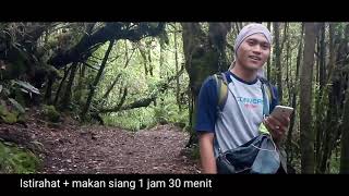 Pendakian gunung pangrango via Cibodas ( tektok )