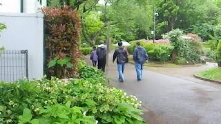 市川市里見公園にて、