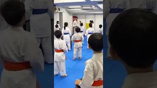 @shimamotodojochannel7170 #kyokushin #shinkyokushin #karate #martialarts #shorts #shortsvideo