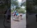 🔥💨 kongu bull rekla recklarace animals coimbatore konguculture udumalaipet pollachi 1k 2k