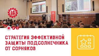 Защита подсолнечника от сорняков🌻 / \