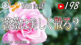 【浄土宗東京教区3分WEB法話】第198回　薔薇は美しく散る？