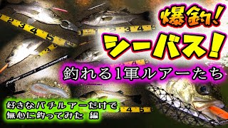 爆釣シーバス！釣れる１軍ルアーたち！ - 好きなバチルアーだけで無心に釣ってみた編 - 東京湾シーバス