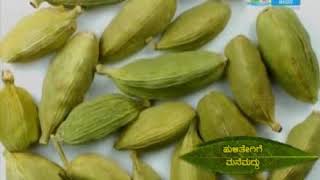 Ayurveda Mane Maddu (Ayurveda Home Remedies) - Huli Tegu (GERD)