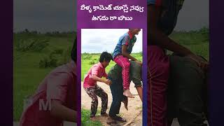 వీళ్ళు పిల్లలు కాదు పిడుగులు #funny #villagefunnyvideo #boys