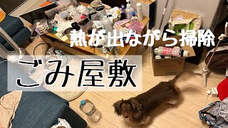 【ごみ屋敷の片付け】30分掃除！夏風邪で熱が出ながら掃除