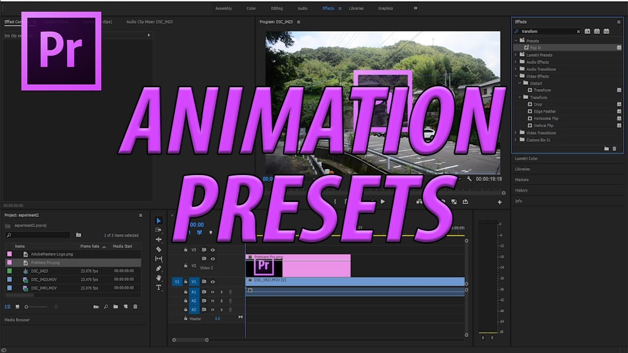 Effects preset. Пресеты для премьер про. Preset Premiere Pro. Пресет для Adobe Premiere Pro. Пресеты анимации для Premiere Pro.
