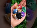 wow ❤️ amazing cute baby cats 🌹🌹❤️❤️ wildanimal wildlife cat animals shorts kitty cutekitty