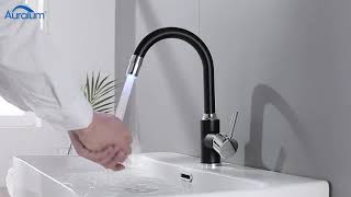 Auralum NVT6652 Kitchen faucet Installation Video