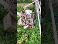 Sikit lg jaa nk banjir , Peneng Pulau 📽️ muhaimin