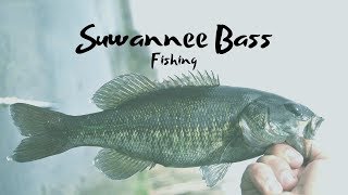 Suwannee Bass Fishing: Florida