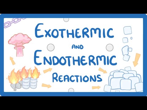 What do endothermic and exothermic reactions have in common?