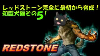 【REDSTONE】レッドストーン新規登録で育成してみた　知識犬編その５！