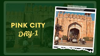 Day -1 Jaipur Pink City #rajasthan #rajasthanindia #jaipur #jalmahaljaipur #amberfort #travelkids