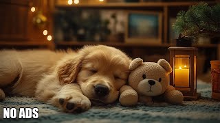 12 Hours Calming Dog Music🎵 🐶 Calming Melodies for Anxious Dogs 🐶🎵 Soothing Sounds