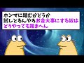 【悲報】なんj民、ゴキブリを食べてしまうｗｗｗ【2ch面白いスレ】【ゆっくり解説】