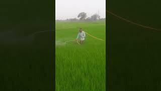 kisan kraft kk-p968  from 4 stroke petrol engine portable spray machine agricultural live demo