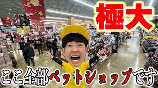 嘘みたいに広すぎるペットショップに潜入！！！生き物なんでもいます。