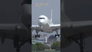 JAL AIRBUS A350-900XWB | STRONG CROSSWIND LANDING | ITM/RJOO #Shorts