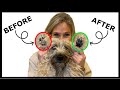 How to Trim the Pads of Your Dogs Feet (STEP-BY-STEP GUIDE)