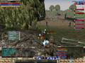 NOWA TOWN, XxSuPeRMaGiCxX, KNİGHT ONLİNE, MAGE, COMBO