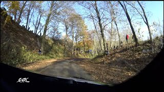 RALLY HUNGARY 2020 - Oliver Solberg on SS4