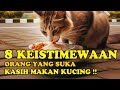 KEAJAIBAN SERING MEMBERI MAKAN KUCING❗_INILAH 8 KEISTIMEWAAN ORANG YANG MEMBERI MAKAN KUCING !!