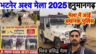 भटनेर अश्व मेला हनुमानगढ़ 2025। Bhatner aashv mela hanumangarh।hanumangarh mela।#hoursemela