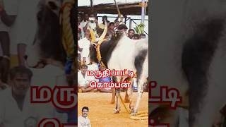 கடைசி நிமிடம் வென்றது யார் ? காளையா ? வீரர்களா? #jallikattu2025 #allinallalgates