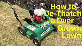 How to Dethach a Overgrown El Toro Zoysia Lawn in Hawaii