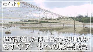 軽石漂着した伊是名村を現地取材　もずく・アーサへの影響懸念（沖縄テレビ）2021/11/11